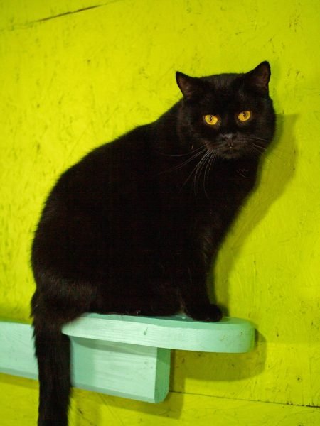 IMG_3453 IMG_3453