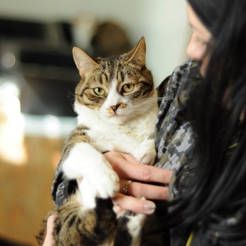 IMG_3947