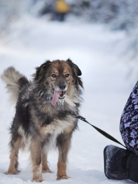 photo_2026-03-08_12-11-52