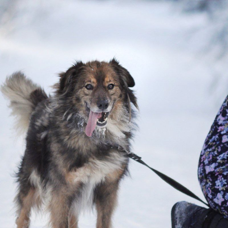 photo_2026-03-08_12-11-52