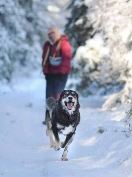 photo_2026-03-08_12-16-15