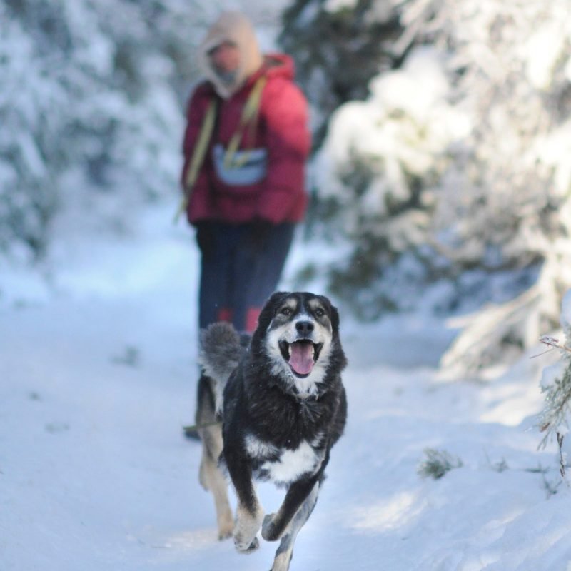 photo_2026-03-08_12-16-15