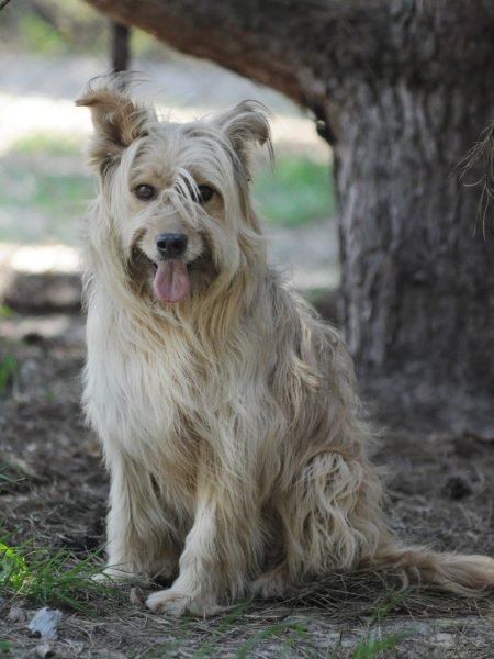 photo_2026-05-24 13.09.37
